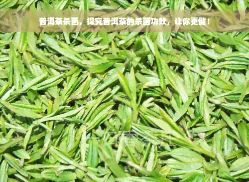 普洱茶杀菌，探究普洱茶的杀菌功效，让你更健！