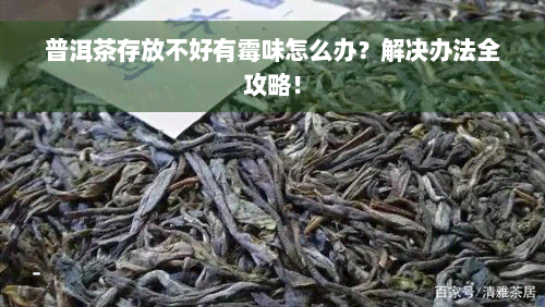 普洱茶存放不好有霉味怎么办？解决办法全攻略！