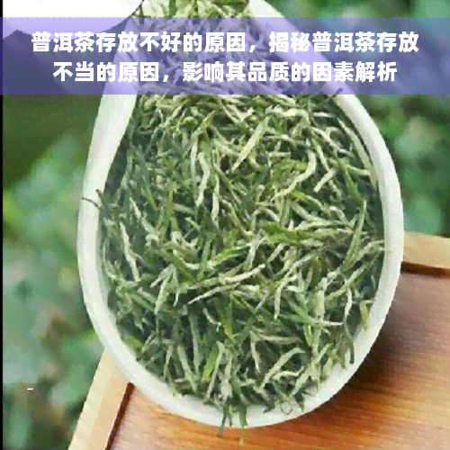 普洱茶存放不好的原因，揭秘普洱茶存放不当的原因，影响其品质的因素解析