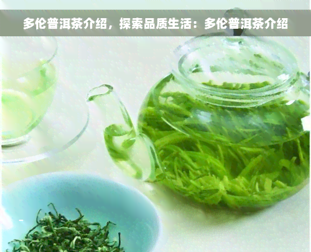 多伦普洱茶介绍，探索品质生活：多伦普洱茶介绍