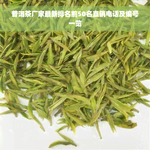 普洱茶厂家最新排名前50名直销电话及编号一览