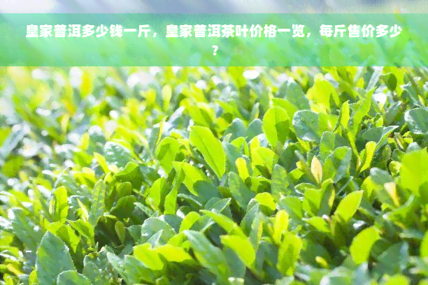 皇家普洱多少钱一斤，皇家普洱茶叶价格一览，每斤售价多少？