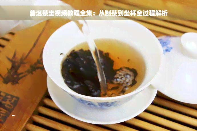 普洱茶坐视频教程全集：从制茶到坐杯全过程解析