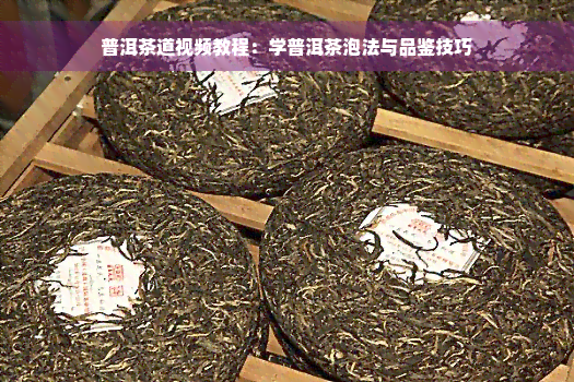 普洱茶道视频教程：学普洱茶泡法与品鉴技巧