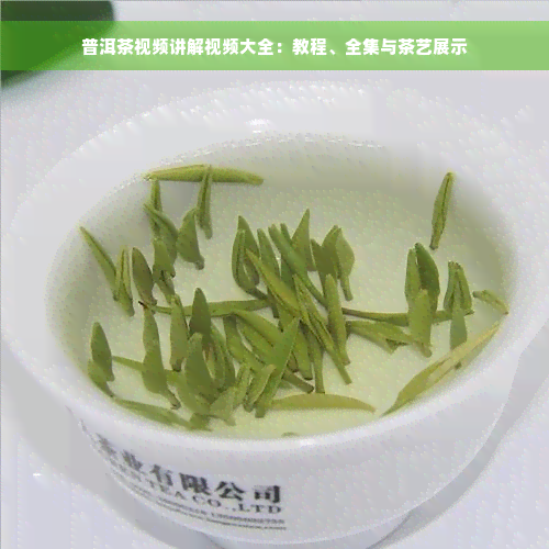 普洱茶视频讲解视频大全：教程、全集与茶艺展示