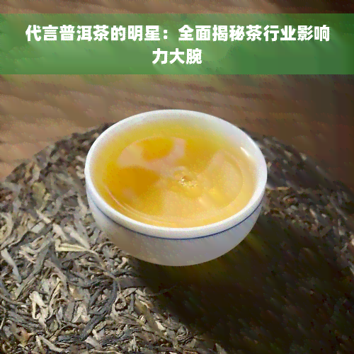 代言普洱茶的明星：全面揭秘茶行业影响力大腕