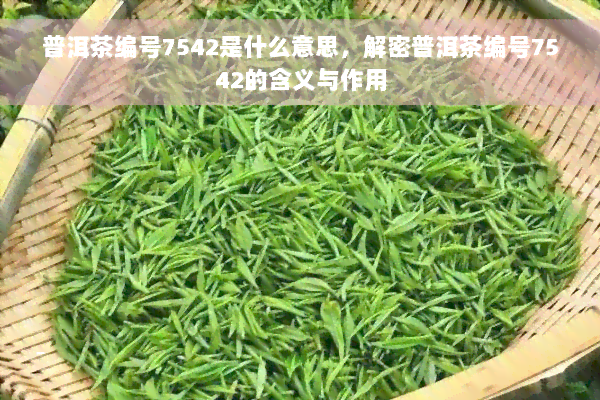 普洱茶编号7542是什么意思，解密普洱茶编号7542的含义与作用