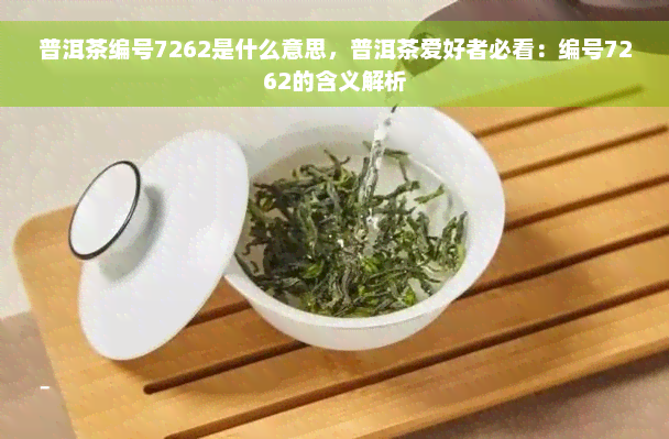 普洱茶编号7262是什么意思，普洱茶爱好者必看：编号7262的含义解析