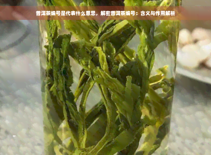 普洱茶编号是代表什么意思，解密普洱茶编号：含义与作用解析