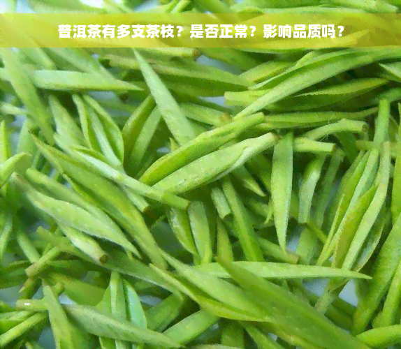 普洱茶有多支茶枝？是否正常？影响品质吗？