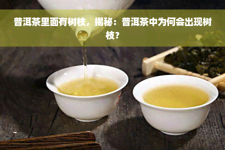 普洱茶里面有树枝，揭秘：普洱茶中为何会出现树枝？