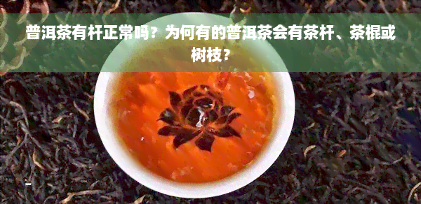 普洱茶有杆正常吗？为何有的普洱茶会有茶杆、茶棍或树枝？