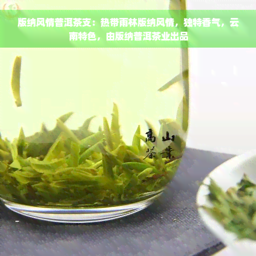 版纳风情普洱茶支：热带雨林版纳风情，独特香气，云南特色，由版纳普洱茶业出品