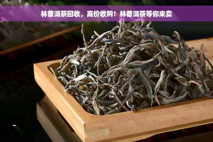 林普洱茶回收，高价收购！林普洱茶等你来卖