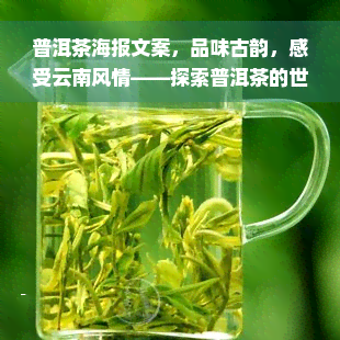 普洱茶海报文案，品味古韵，感受云南风情——探索普洱茶的世界