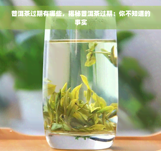 普洱茶过期有哪些，揭秘普洱茶过期：你不知道的事实