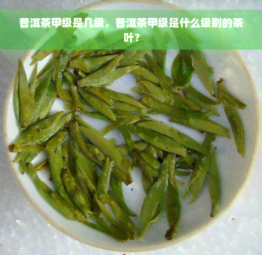 普洱茶甲级是几级，普洱茶甲级是什么级别的茶叶？