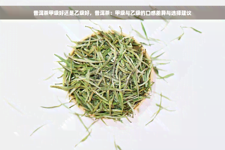 普洱茶甲级好还是乙级好，普洱茶：甲级与乙级的口感差异与选择建议