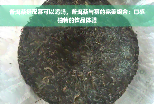 普洱茶搭配葚可以喝吗，普洱茶与葚的完美组合：口感独特的饮品体验