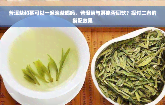 普洱茶和葚可以一起泡茶喝吗，普洱茶与葚能否同饮？探讨二者的搭配效果