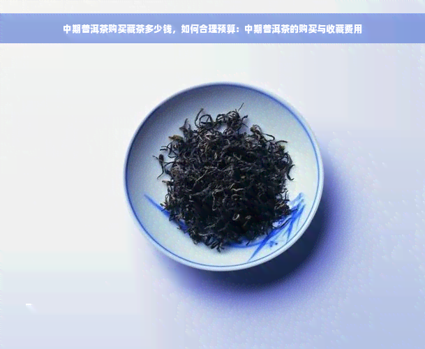 中期普洱茶购买藏茶多少钱，如何合理预算：中期普洱茶的购买与收藏费用