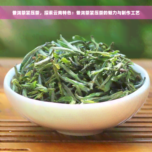 普洱茶紧压茶，探索云南特色：普洱茶紧压茶的魅力与制作工艺