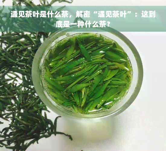 遇见茶叶是什么茶，解密“遇见茶叶”：这到底是一种什么茶？