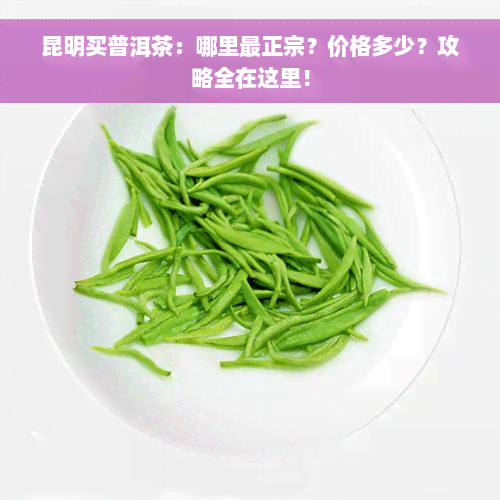 昆明买普洱茶：哪里最正宗？价格多少？攻略全在这里！