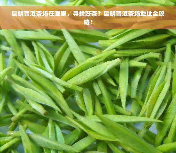 昆明普洱茶场在哪里，寻找好茶？昆明普洱茶场地址全攻略！