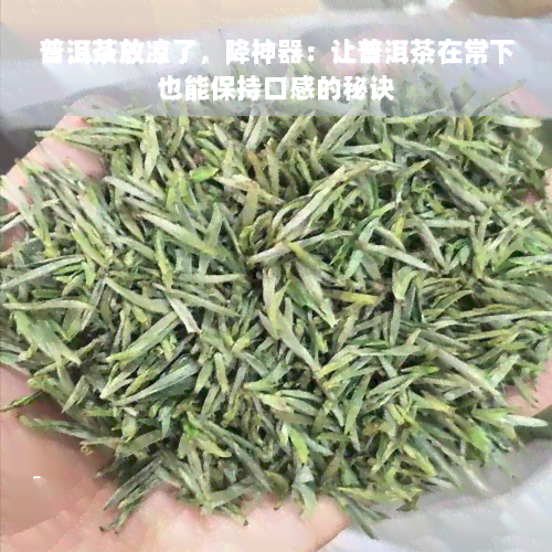 普洱茶放凉了，降神器：让普洱茶在常下也能保持口感的秘诀