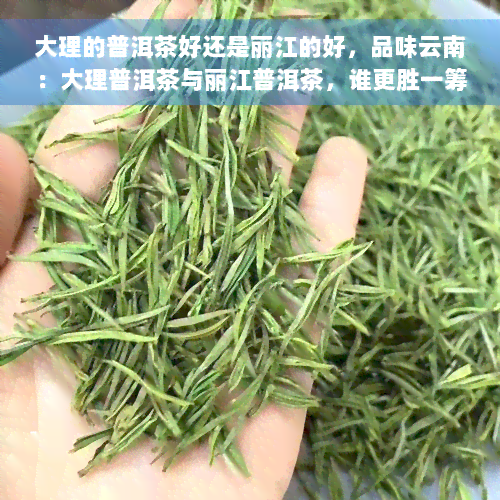 大理的普洱茶好还是丽江的好，品味云南：大理普洱茶与丽江普洱茶，谁更胜一筹？