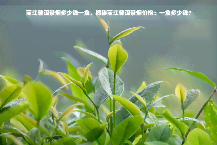 丽江普洱茶烟多少钱一盒，揭秘丽江普洱茶烟价格：一盒多少钱？