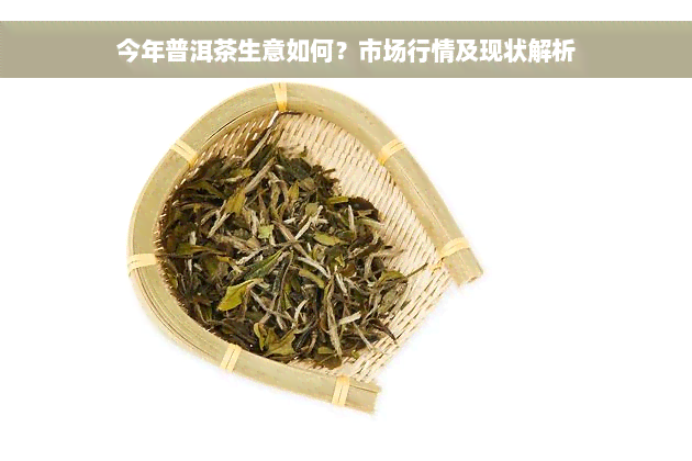 今年普洱茶生意如何？市场行情及现状解析