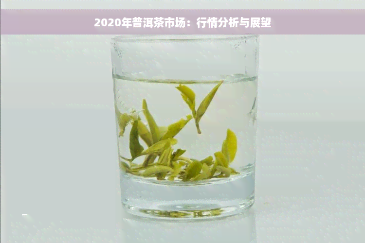 2020年普洱茶市场：行情分析与展望