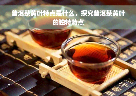 普洱茶黄叶特点是什么，探究普洱茶黄叶的独特特点