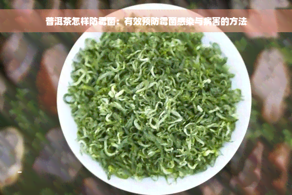 普洱茶怎样防霉菌：有效预防霉菌感染与病害的方法