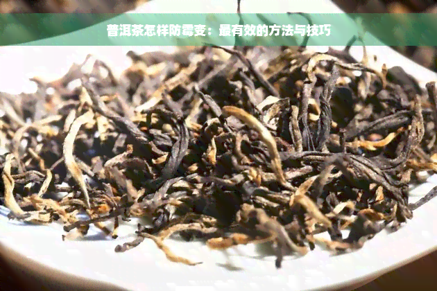 普洱茶怎样防霉变：最有效的方法与技巧