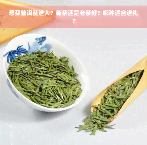 想买普洱茶送人？新茶还是老茶好？哪种适合送礼？