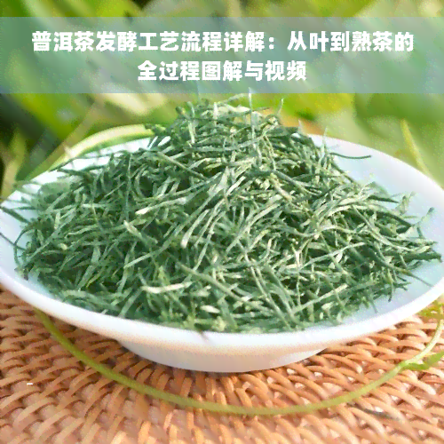 普洱茶发酵工艺流程详解：从叶到熟茶的全过程图解与视频