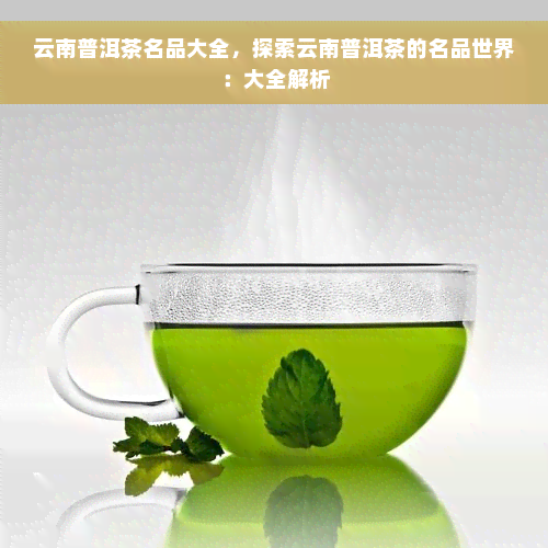 云南普洱茶名品大全，探索云南普洱茶的名品世界：大全解析