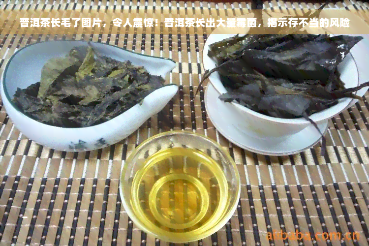 普洱茶长毛了图片，令人震惊！普洱茶长出大量霉菌，揭示存不当的风险