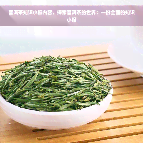 普洱茶知识小报内容，探索普洱茶的世界：一份全面的知识小报