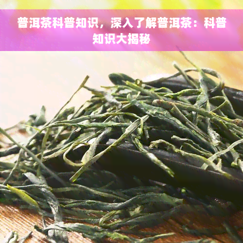 普洱茶科普知识，深入了解普洱茶：科普知识大揭秘