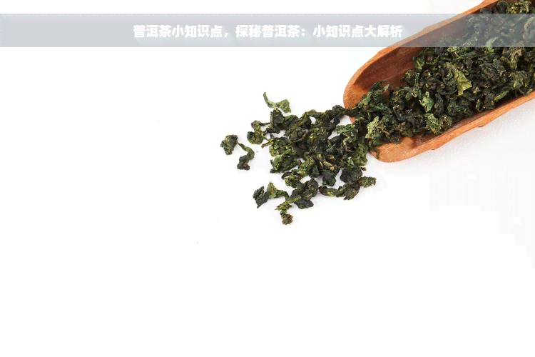 普洱茶小知识点，探秘普洱茶：小知识点大解析