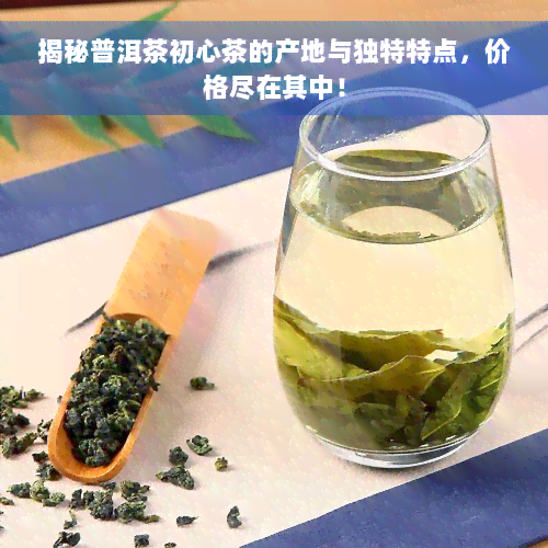 揭秘普洱茶初心茶的产地与独特特点，价格尽在其中！