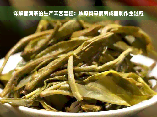 详解普洱茶的生产工艺流程：从原料采摘到成品制作全过程