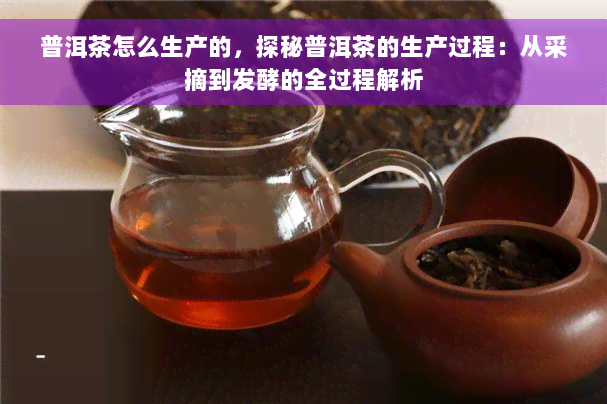 普洱茶怎么生产的，探秘普洱茶的生产过程：从采摘到发酵的全过程解析