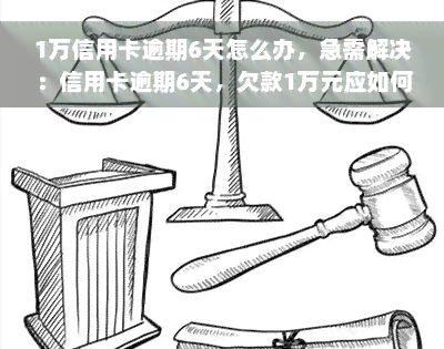 1万信用卡逾期6天怎么办，急需解决：信用卡逾期6天，欠款1万元应如何处理？