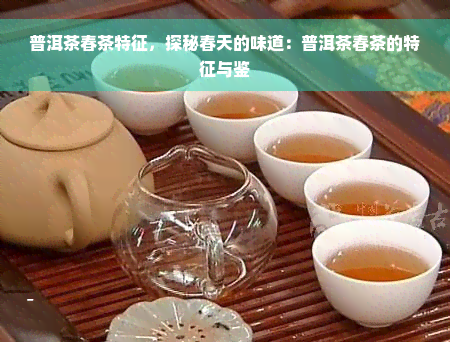 普洱茶春茶特征，探秘春天的味道：普洱茶春茶的特征与鉴