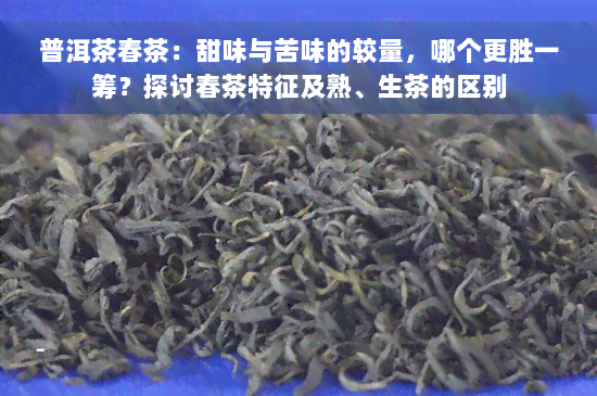 普洱茶春茶：甜味与苦味的较量，哪个更胜一筹？探讨春茶特征及熟、生茶的区别